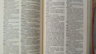 Pequeno dicionario Xerais da lingua