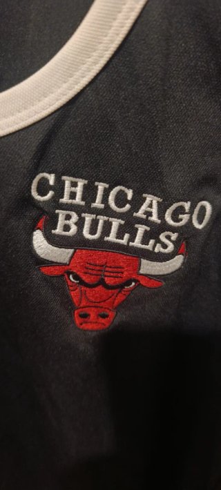 Camiseta Chicago Bulls Negra