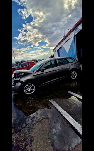 Despiece Seat León 1.6 TDI