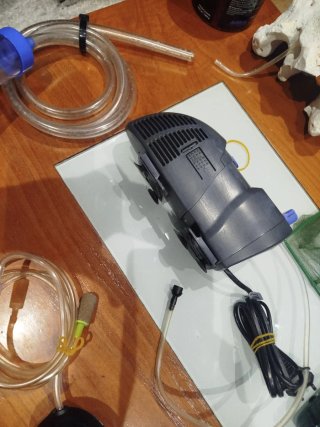 Lote Acuario: Filtro, Calentador y Accesorios
