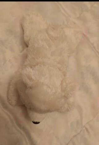Lote 3 peluches oso, gato y leopardo