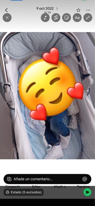 Carro de bebé con silla