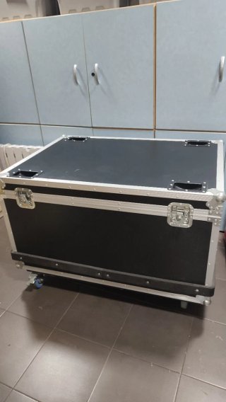 Caja de transporte profesional con ruedas