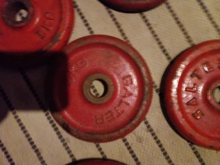 2 discos Salter 3kg.