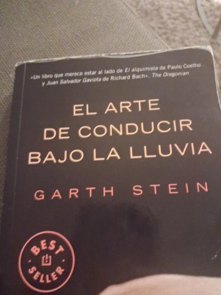 El arte de conducir bajo la lluvia