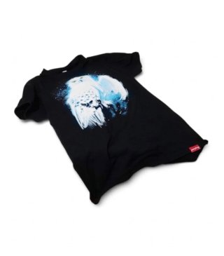 Pack de 2 camisetas de Harry Potter