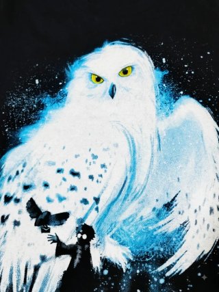 Pack de 2 camisetas de Harry Potter