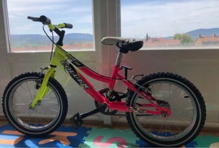 Bicicleta Coluer Puma 16
