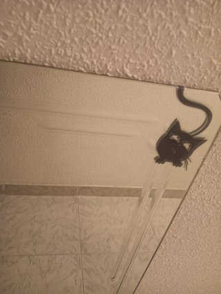 Espejo decorativo con gatos se pueden quitar
