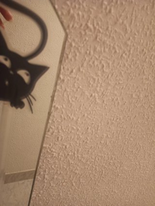 Espejo decorativo con gatos se pueden quitar