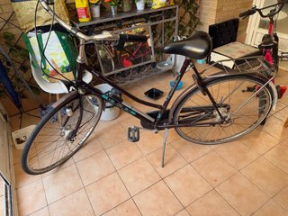 Bicicleta de cambios Prestige