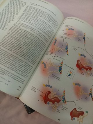 Bioquimica