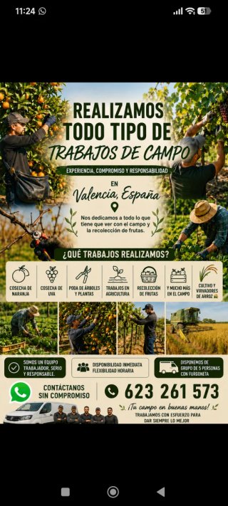 Agricultura Y Recolección De Frutas Y Hortalizas