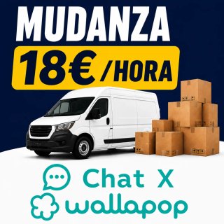 Portes y mudanzas
