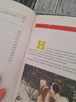 Libro San Bernardo