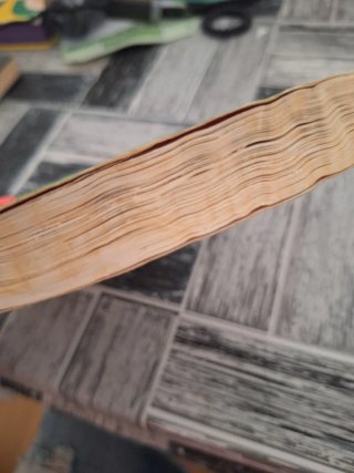 Libro San Bernardo