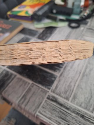 Libro San Bernardo