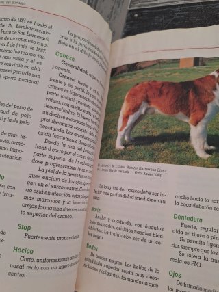 Libro San Bernardo