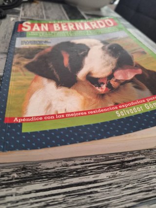 Libro San Bernardo
