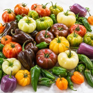 Sementes de Tomates e Pimentos Variados