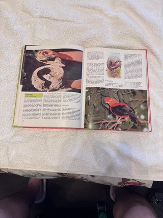 Enciclopedia del Reino Animal - Editorial Susaeta