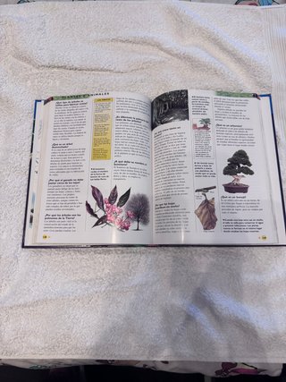 Enciclopedia de preguntas y respuestas