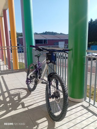 Bicicleta Vitus Dominer DH