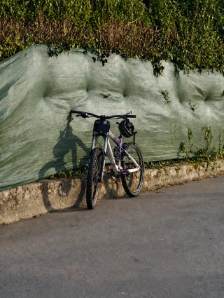 Bicicleta Vitus Dominer DH