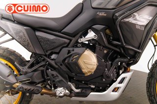 VOGE DS800X RALLY