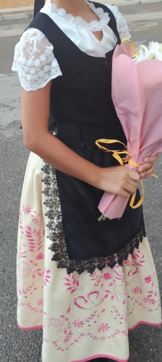 Falda regional bordada rosa y beige