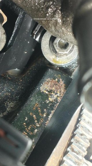Cabap20072230 motor asy volkswagen polo (9n_) 1.9