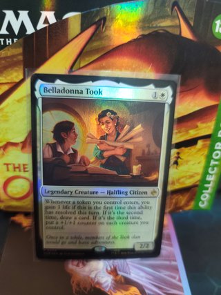 Magic The Gathering Belladonna Took