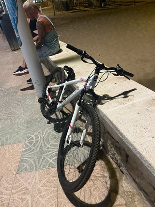 Bicicleta Rockrider 100