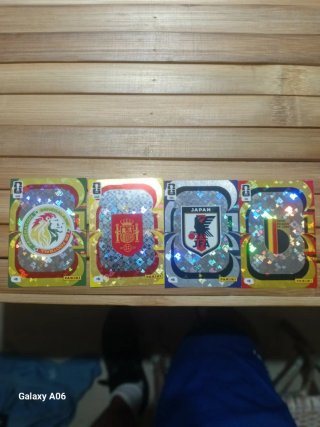 Panini Escudos XL