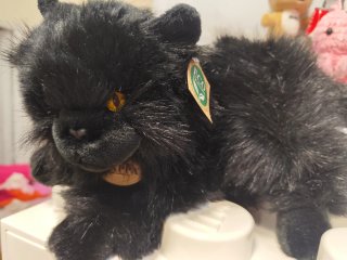 Peluche Gato Negro Realista nuevo