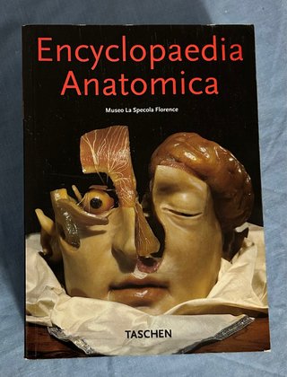 Enciclopedia anatómica