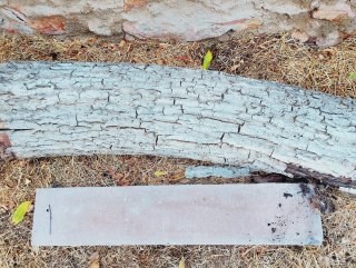 Tronco de Nogal. Madera. Artesanía. Carpintería