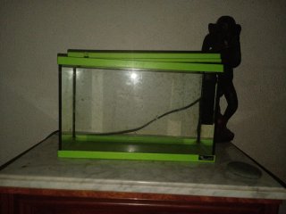 Acuario 15 litros con filtro y clanetador