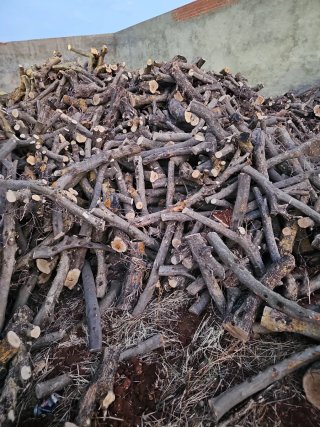 Leña de olivo restos de poda
