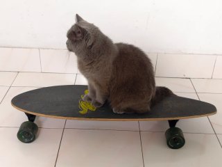 Skate Longboard Manaral Vintage
