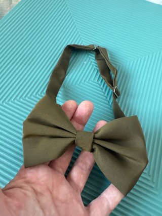 Papillon seta vintage verde cachi