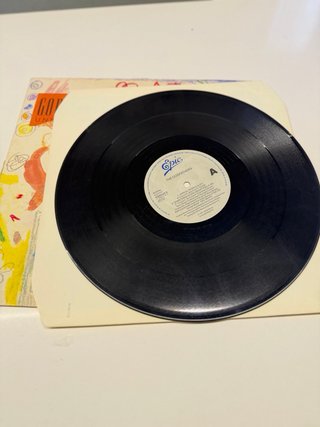 Vinilo The Godfathers – Unreal World (1991)