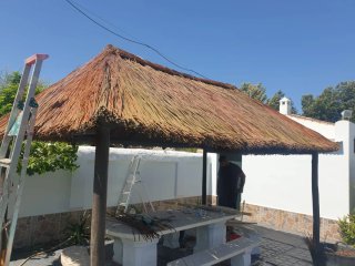 Ombrelloni di paglia per la spiaggia