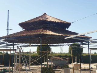 Ombrelloni di paglia per la spiaggia