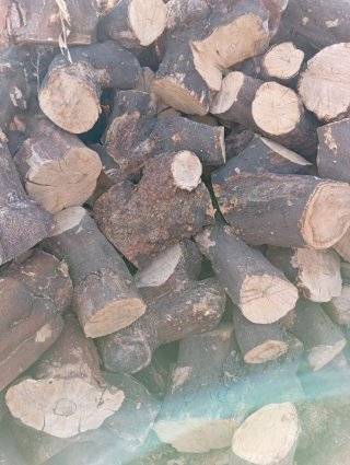 Socas de naranjo para leña