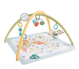 Gimnasio para Bebés Fisher-Price Simply Senses