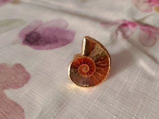 Anillo Fósil Ammonite Bañado en Oro