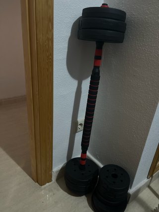 Barra de entrenamiento con discos