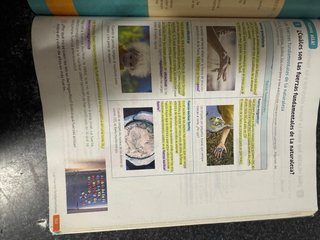 Física y química, 2 Secundaria, Revuela