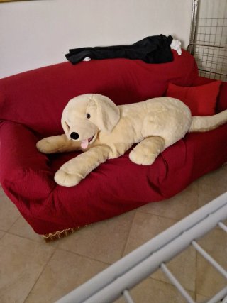 Peluche Cane Crema 100cm